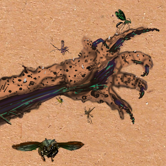 Arm Mutation